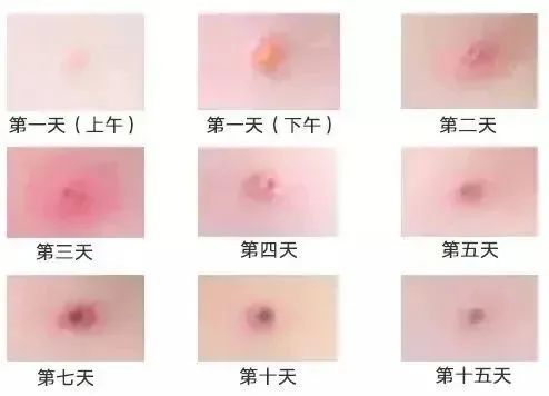 临时_html_m6481517f.jpg