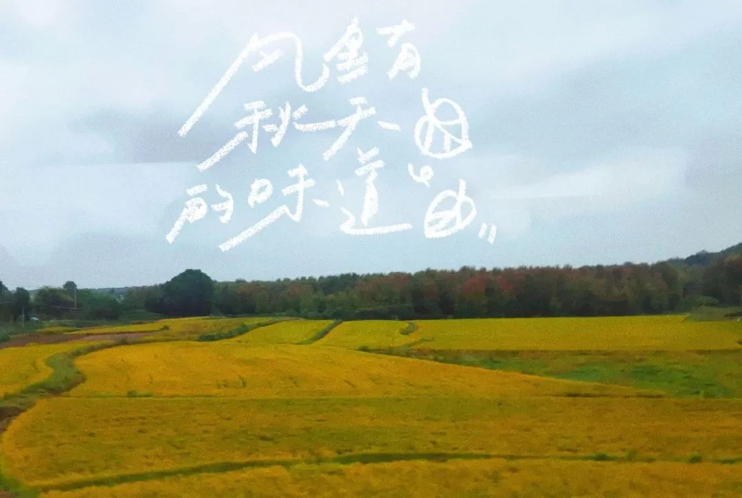 临时_html_1c30955c.jpg