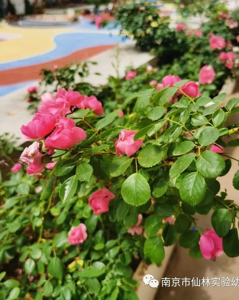 光启_html_4c58707f.jpg