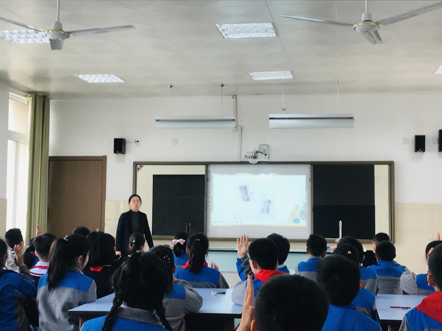 综合学科视导总结_html_2beb10f1.jpg