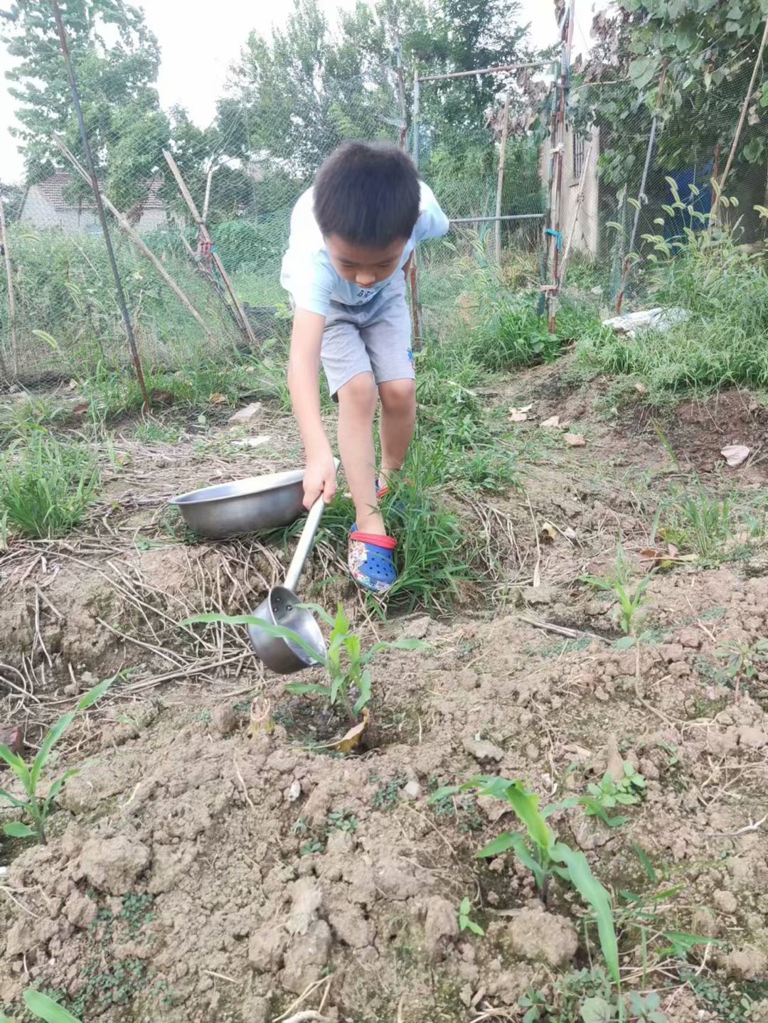 朱  婕-2023.8.28【大爱青秀&middot;少先队】劳动砺心智  实践促成长————记“沉浸式”家庭生活“陪伴”课程之暑期劳动月实践_html_303477e4.jpg