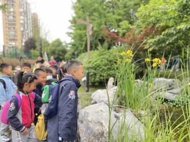 幼小衔接新闻2023.4.24_html_m64aa1b62.jpg