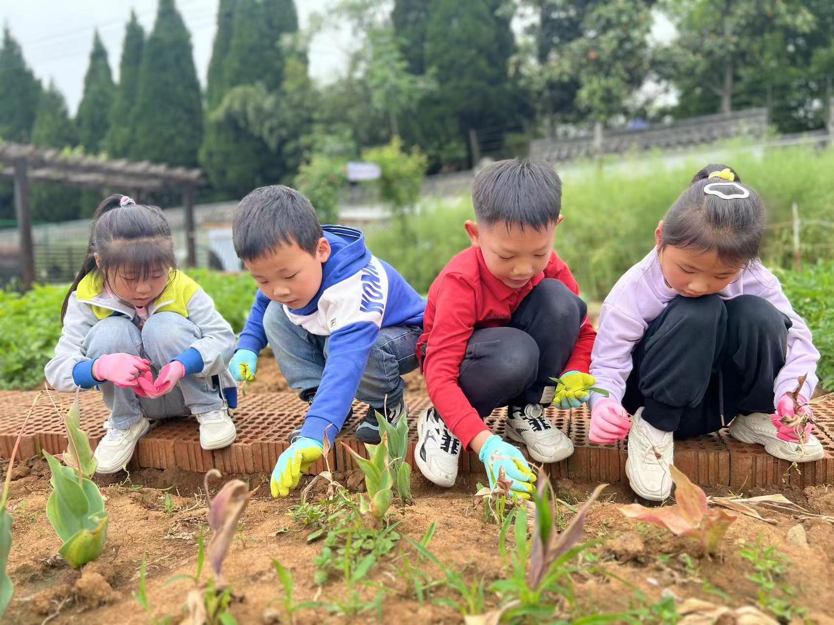【乐活龙幼】劳动之美 童趣之韵 ——龙潭幼儿园长江分园“五一”劳动节系列活动