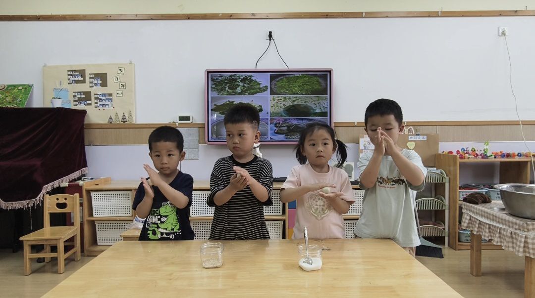 【乐活龙幼•乐享童年】仲夏欢趣  悦享端午 ——龙潭幼儿园龙岸二园