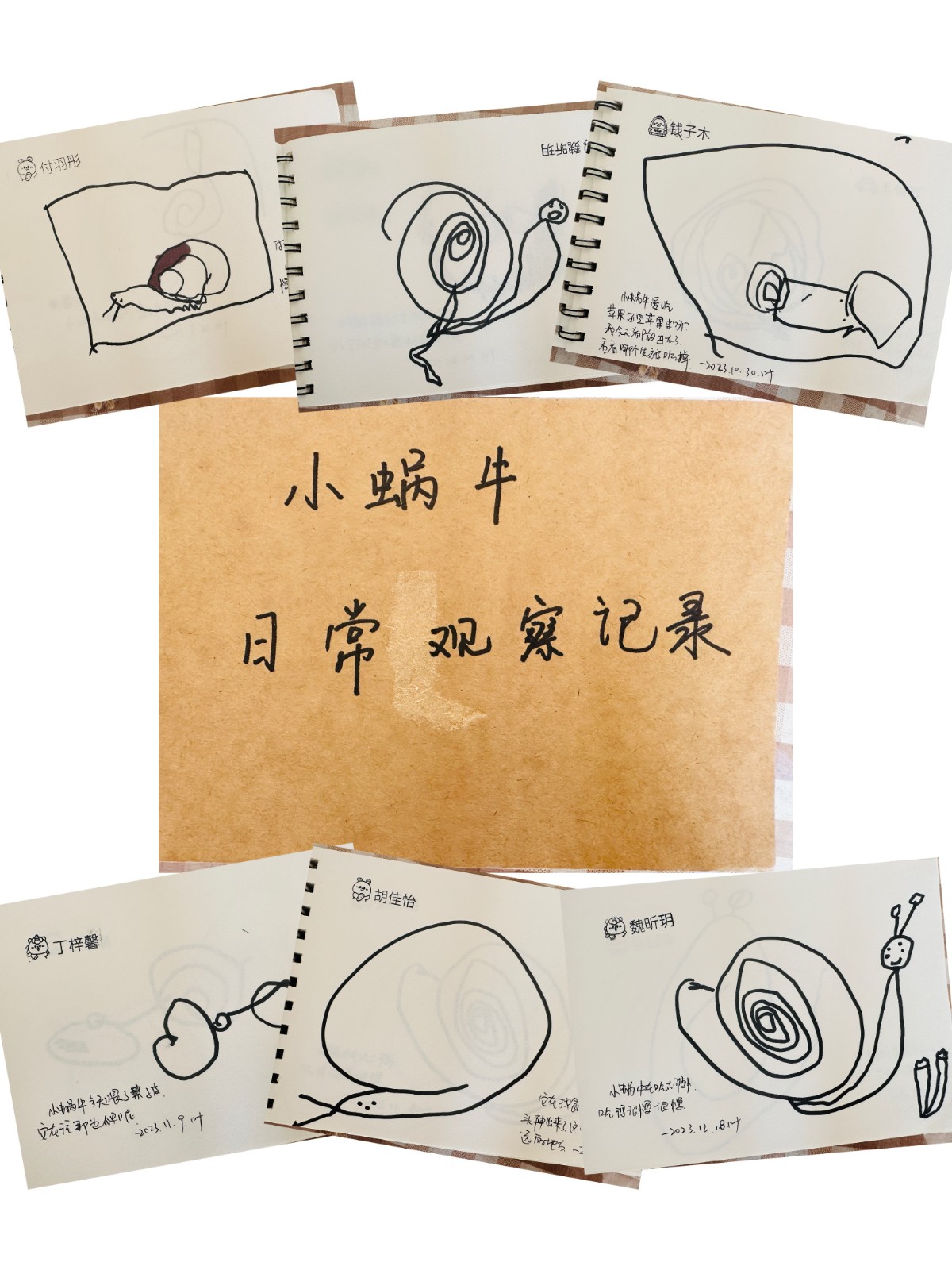 【乐活龙幼】【乐活龙幼·乐享童年】与“蜗”相遇，“蜗”趣横生——龙潭幼儿园龙岸二园小四班课程故事分享
