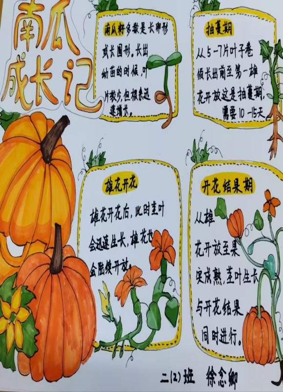 我为班级选班植语文实践活动报道_html_m1f71585.jpg