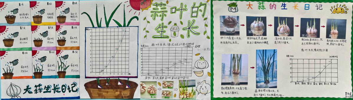 20240412五年级数学实践活动报道_html_7bd9dbbd.jpg