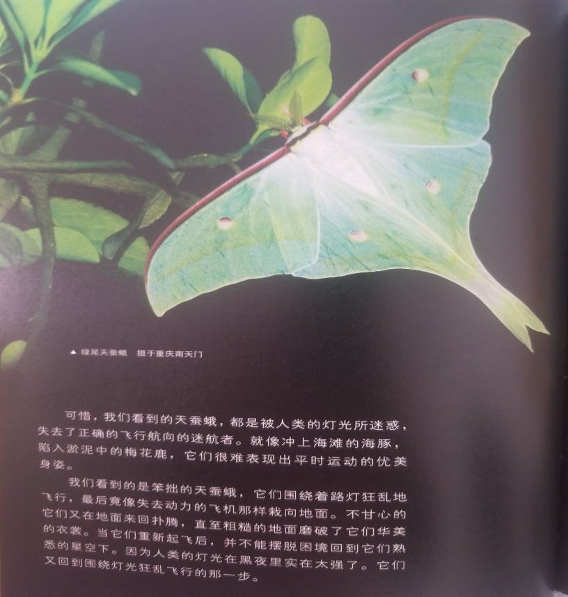 南湾营小学图书馆2021年5月好书推荐报道_html_3cfd996d.jpg