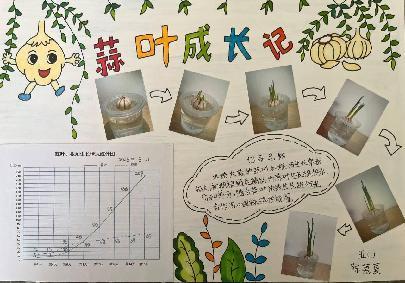 20250425五数数学实践活动蒜叶成长记吉康写_html_2ed316bc.jpg