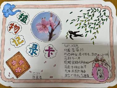 植物记录卡 亲近大自然_html_28422b64.jpg