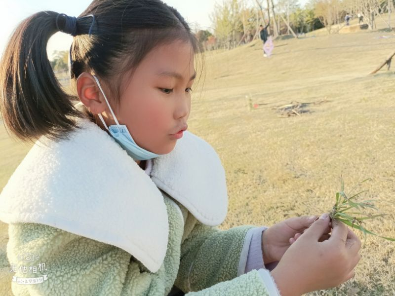 童心小作家 妙笔可生花三2_html_61a0b59b.png