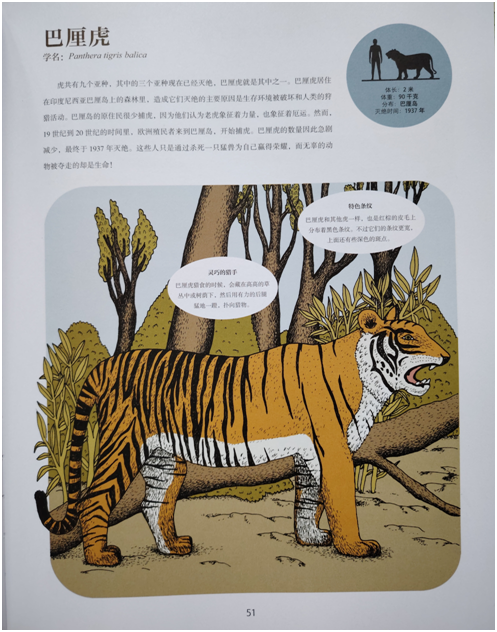 南湾营小学图书馆2024年11月好书推荐_html_m9e06361.png