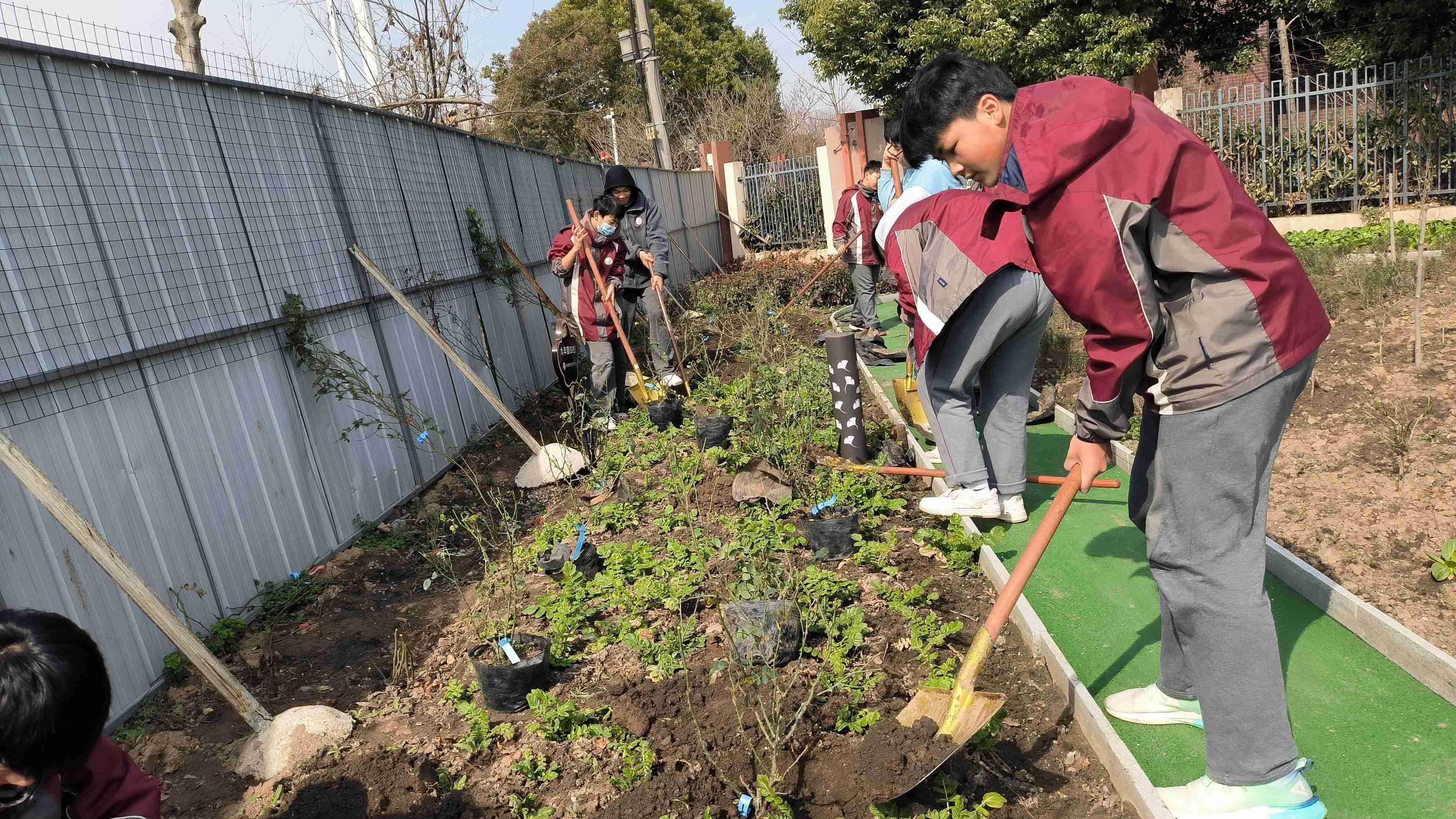 【臻美花中 花样劳动】阳春布德泽，静待花开时——南京市园中学开展月季种植活动_html_m655f87aa.jpg