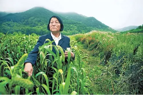 红领巾学先锋第4期_html_501c842.png