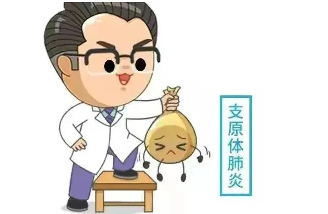 【知行晓庄】支原体肺炎防控小贴士