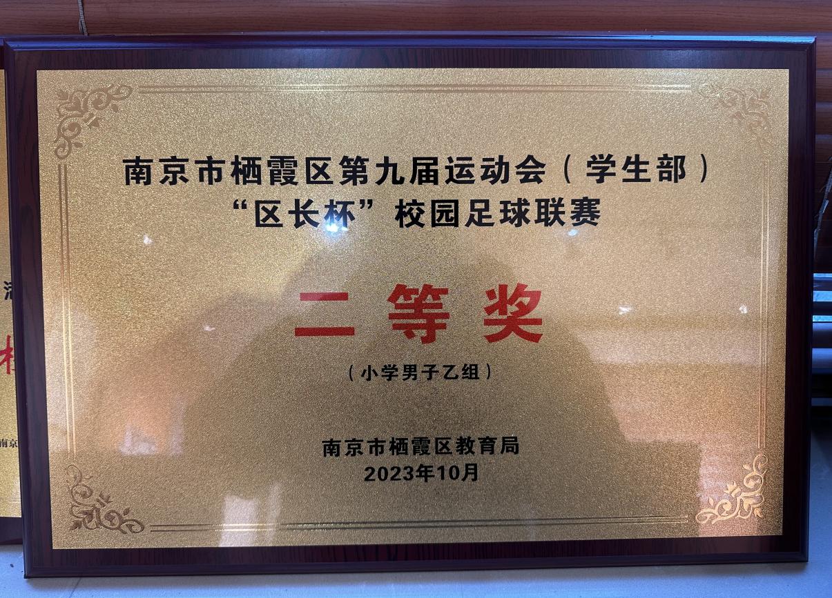 20240707南京市晓庄 小学2023-2024学年体育工作喜获佳绩(2)(1)_html_69acf0de.jpg