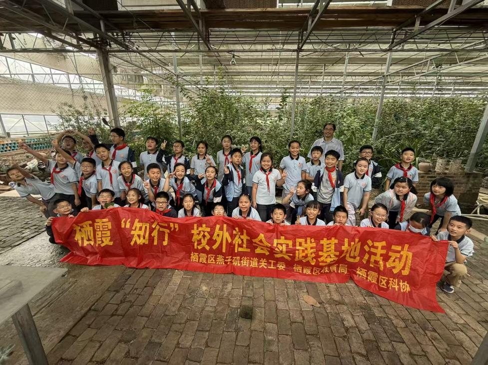 【知行晓庄】秋寻苗圃观多肉 亲植绿意长新——记晓庄小学参加“知行”校外社会实践活动