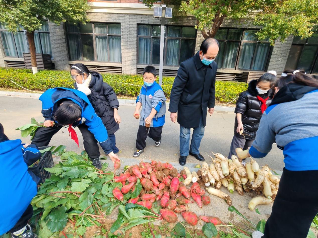 四年级5班拔萝卜劳动课堂新闻稿 _html_m511ccc4f.jpg