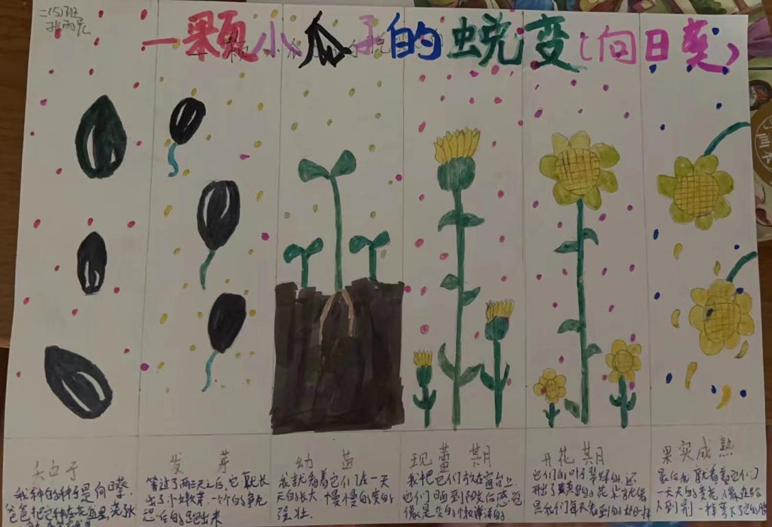 一五“种子” 长程作业(1)_html_70320f65.jpg