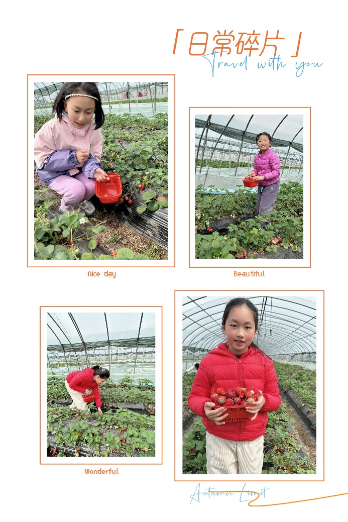 四（2）班春日农场研学，萌娃乐翻天_html_7352243c.jpg