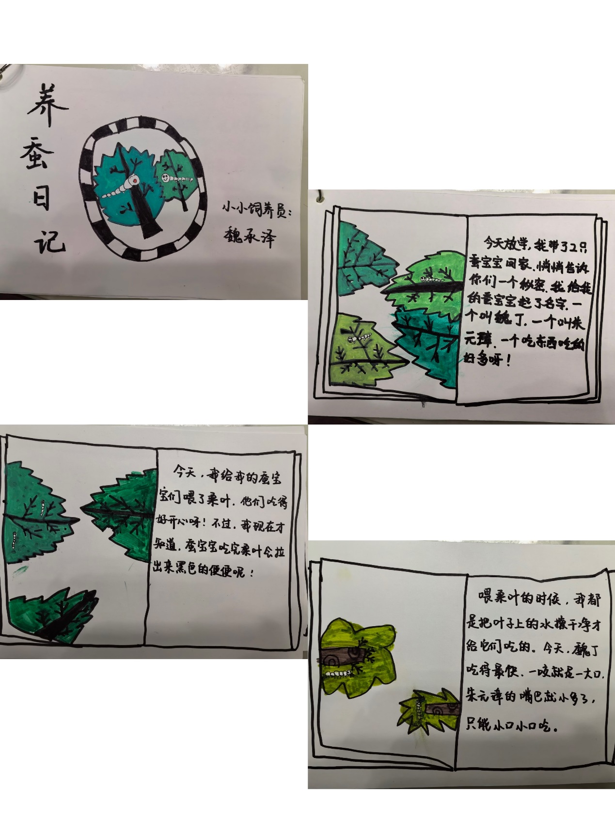养蚕记(1)_html_m5e5ca20b.jpg