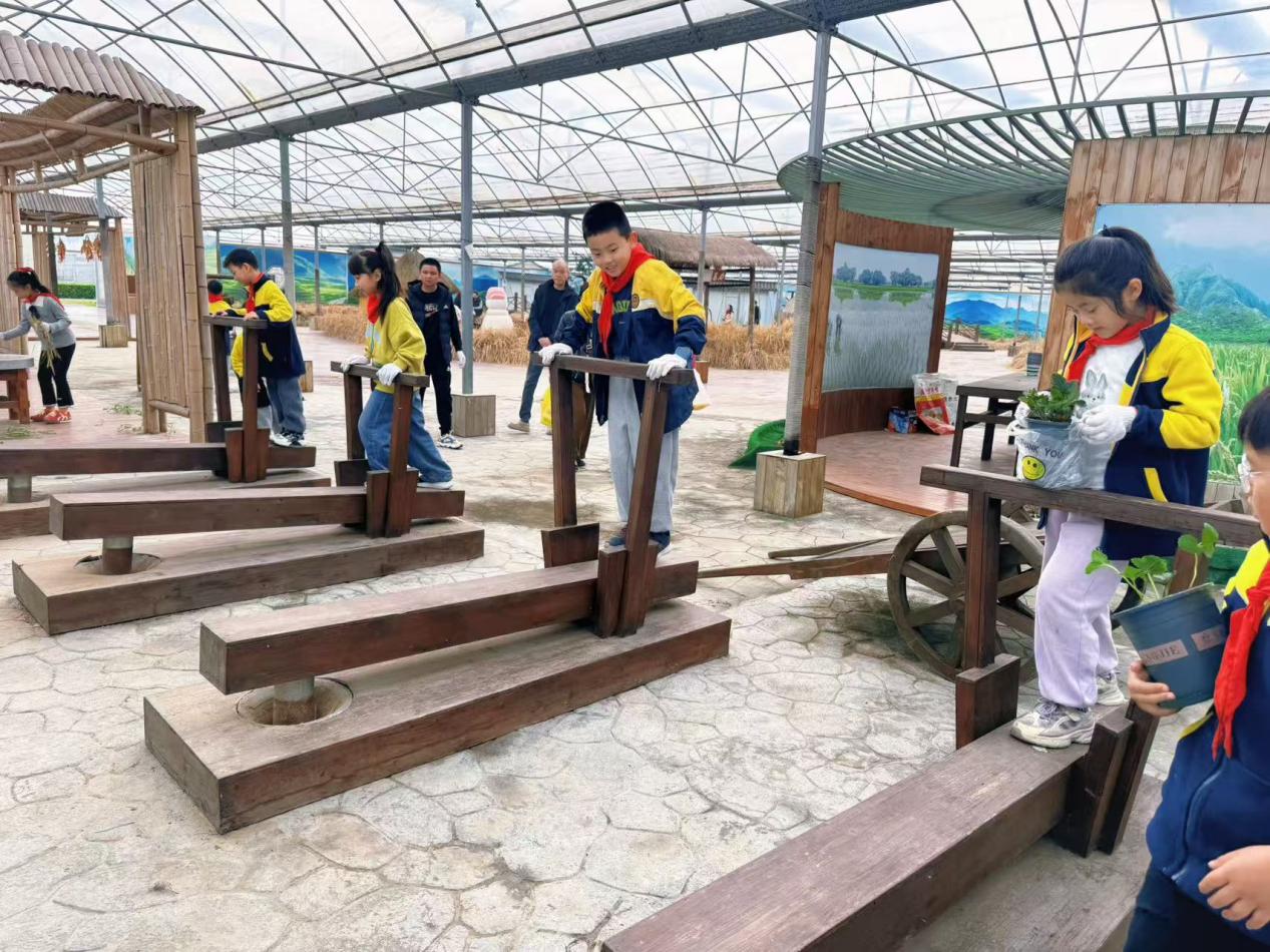 赴一场田园之约，做快乐小农夫——晓院附小三（2）班农耕体验活动2025.10(1)_html_m383f8b26.jpg