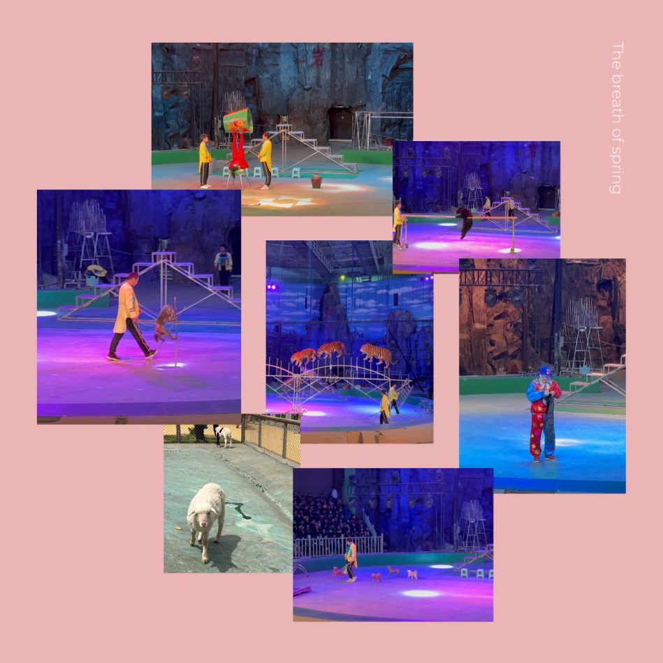 新建 Microsoft Word 文档_html_7c16d077.jpg