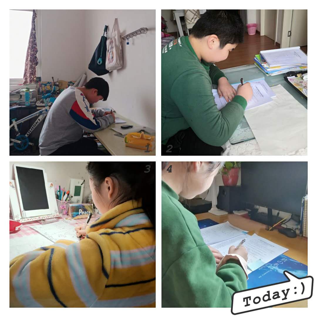 六年级数学第四次网测报道_html_m44d578a4.jpg