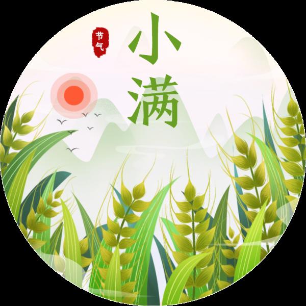 【书院紫金】物致于此，小得盈满——记紫金小学小满班主题班会