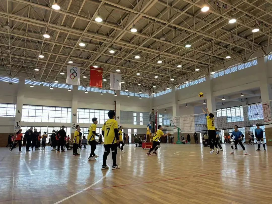 【书院紫金】喜报：紫金小学在“2021年阳光体育节校园排球比赛”中斩获女子组冠军、男子组亚军