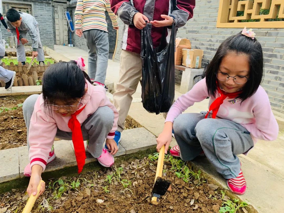 青青园中行，劳动最光荣——记紫金小学青园劳动（一）