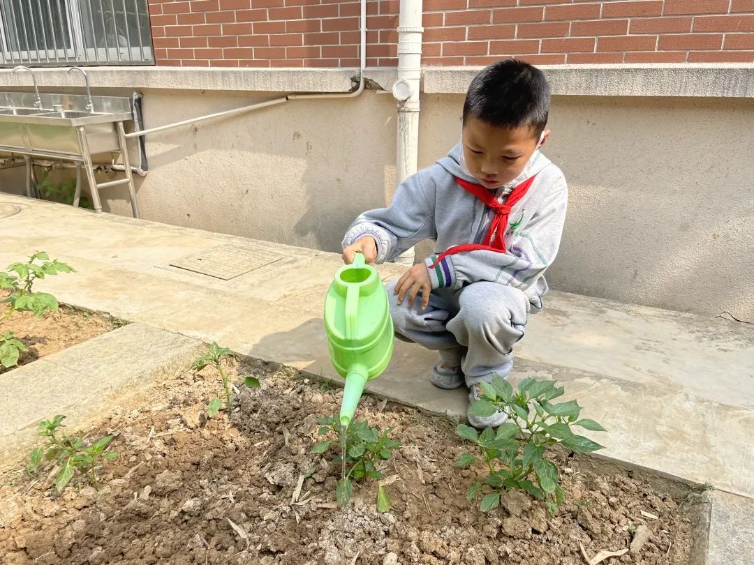 小满_html_40b8820a.jpg