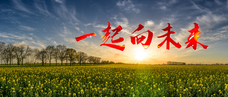 (公众号)迈皋桥中心小学招生公告2023_html_35fd3f4c.png