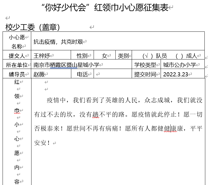 红领巾小心愿2.png