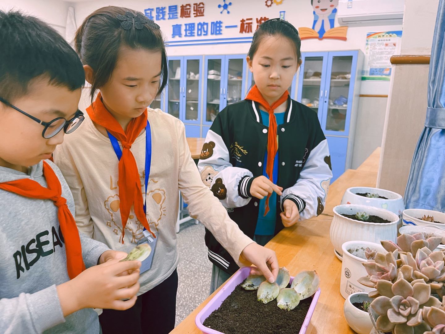 【星光摄小】摄小娃，一起劳动吧——摄山星城小学天佐路校区“劳动教育周”主题活动报道