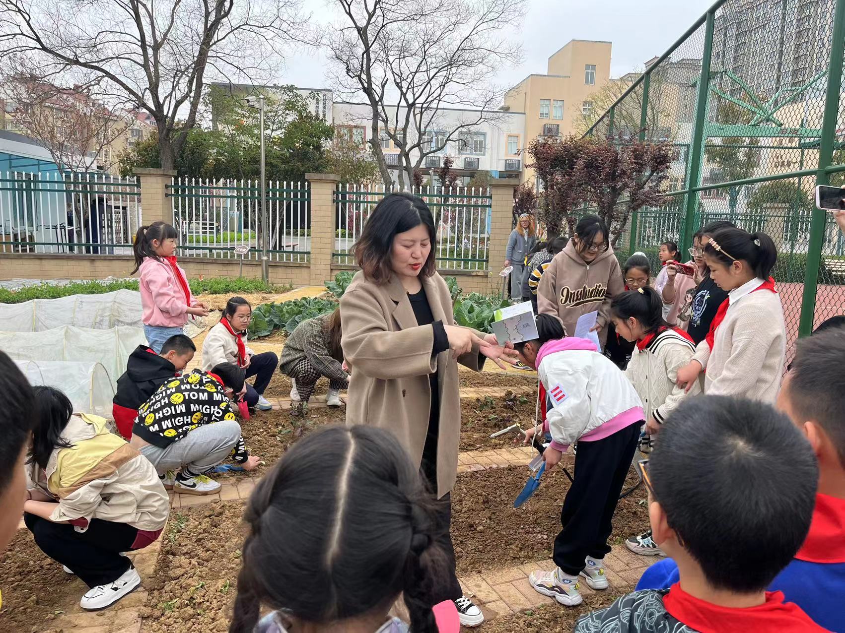清明药草香，学子思耕忙  ——摄山星城小学天佐路分校中草药主题研学实践活动报道