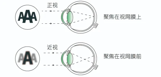 640 (13).png