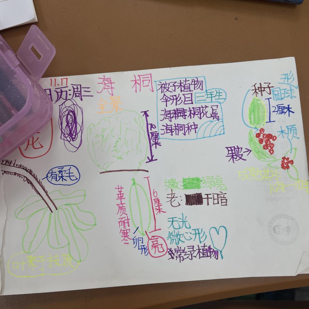 笔记大自然期中报道_html_m929bbb6.jpg