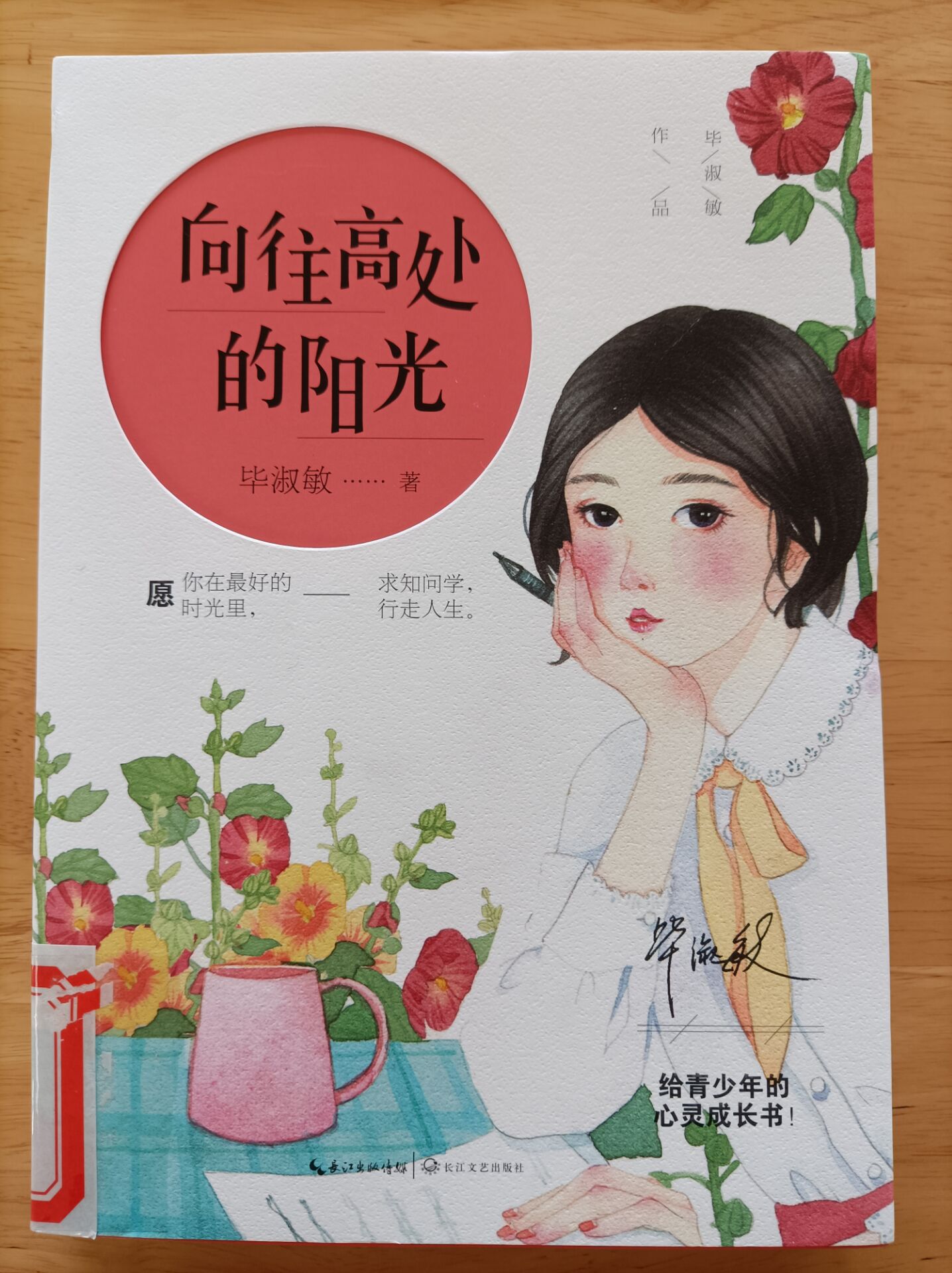《向往高处的阳光》.jpg