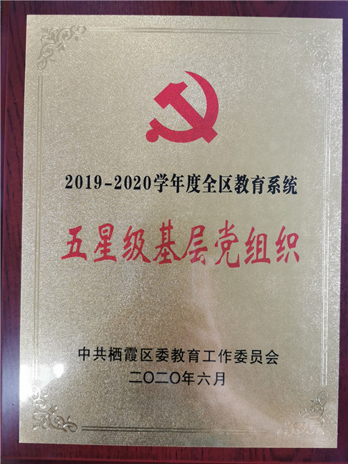 10.2020.6五星级基层党组织.jpg