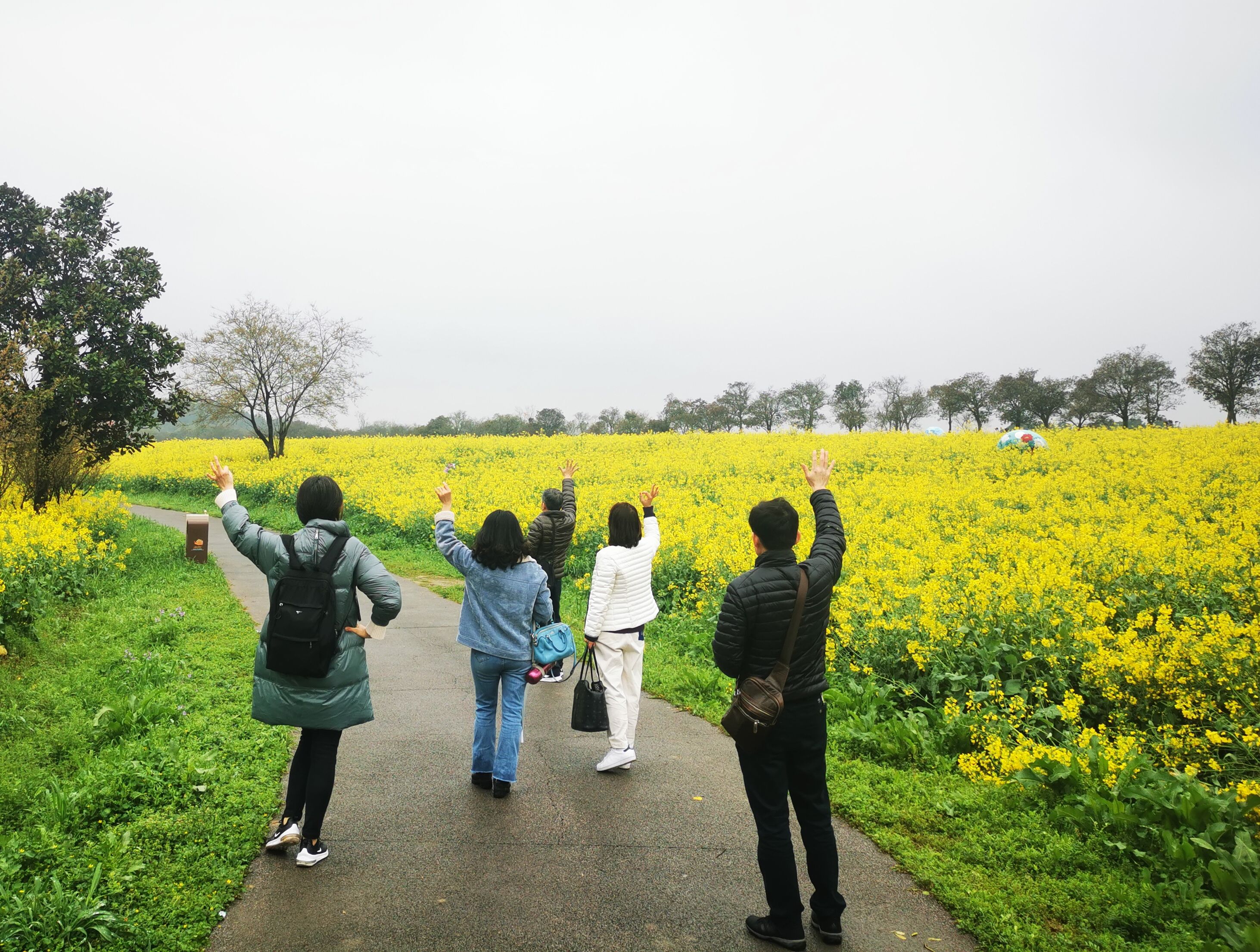 20210320高淳桠溪慢城通讯稿_html_m3bad9e6d.jpg