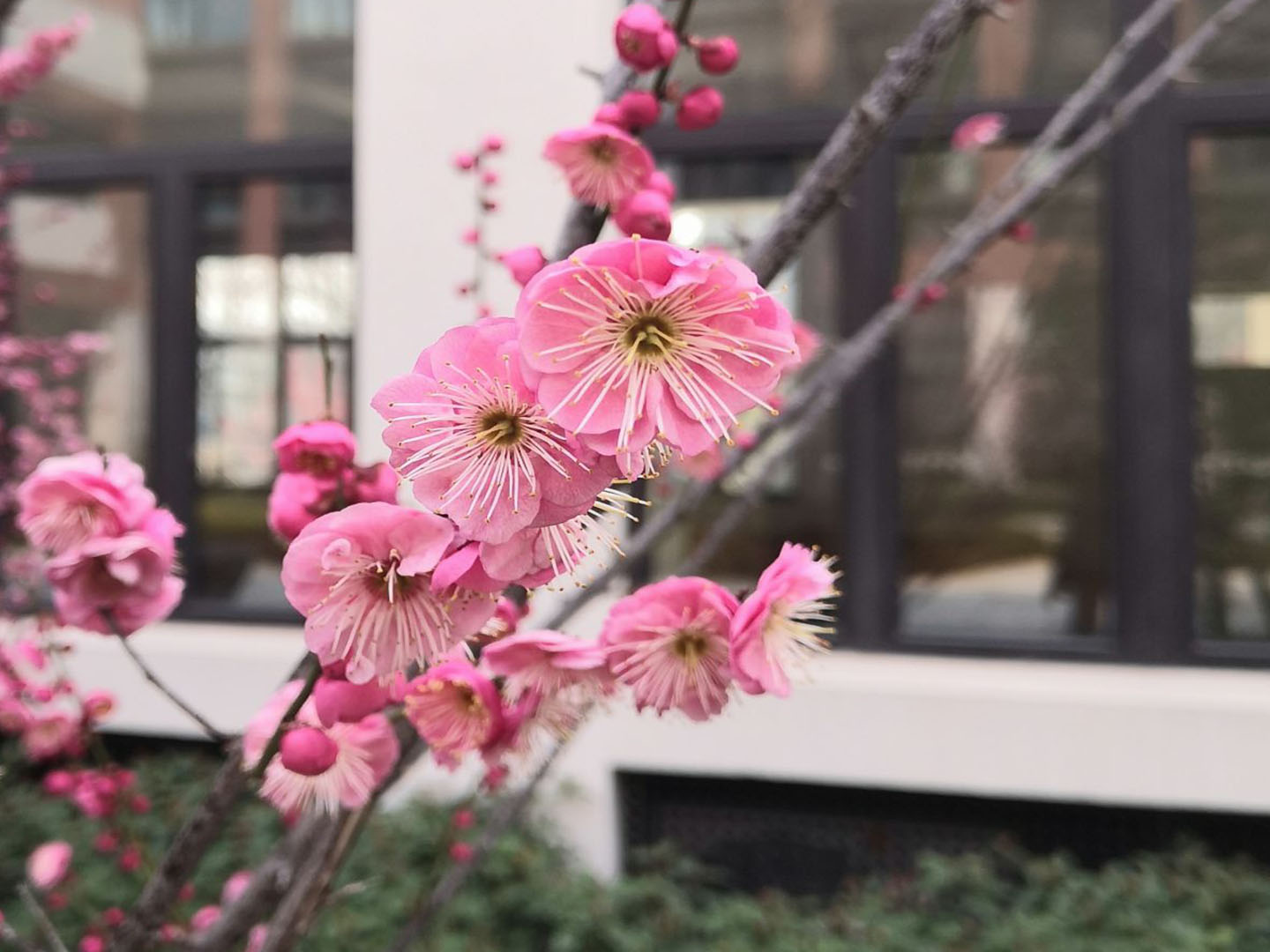 摄影新闻稿_html_21c82905.jpg