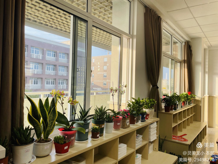【灵美龙小·德育】春风十里，植此青绿——龙潭中心小学（本部）开展植树节系列活动_html_m15ea2d9a.jpg