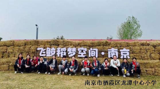 【雅韵先锋·团队活动】走进自然课堂，共享春日时光——靖安小学春季社会实践活动