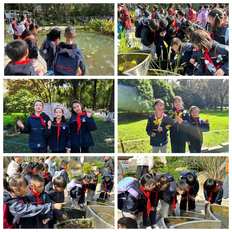 2025.11.11探秘植物王国 感受自然奇妙——龙潭中心小学开展2025年秋季社会实践活动_html_m6a0661ad.jpg