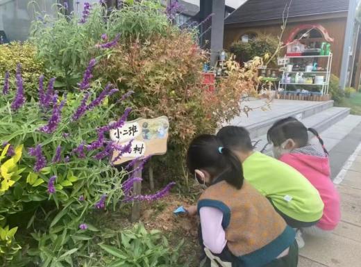 221102研花草精灵 探童真归处——记栖霞幼儿园翡翠天域园科学教研组活动（五）(1)_html_2d63e766.jpg