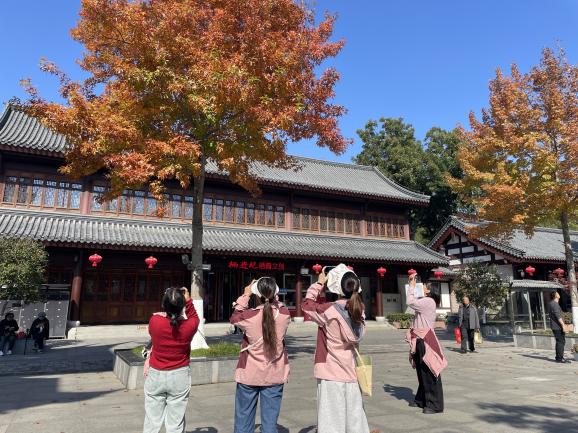 【枫香栖幼】探寻山林奥秘 点亮课程微光  ——栖霞幼儿园五福园课程中心组教研活动（五）