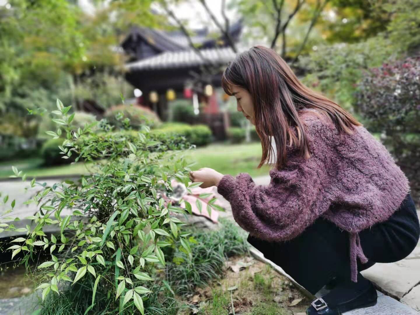 【枫香栖幼】深入实地教研 探寻资源奥秘  ——记栖霞幼儿园五福园专题教研组教研活动（一）