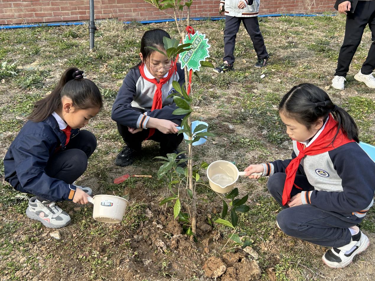 相约春天 共植希望——记金陵小学2024年植树节活动_html_ma4377fb.jpg