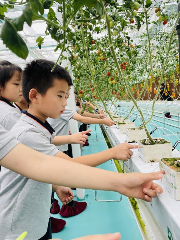 【湖畔·学生活动】创新实践在自然 劳动研学促成长——栖霞区劳动教育月金陵小学（仙林湖校区）生态园研学活动_html_306987b7.jpg